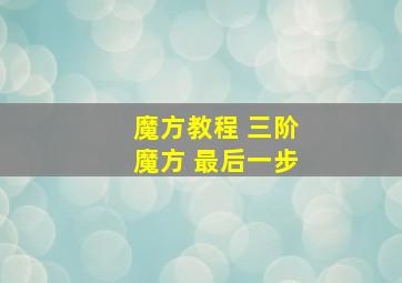 魔方教程 三阶魔方 最后一步